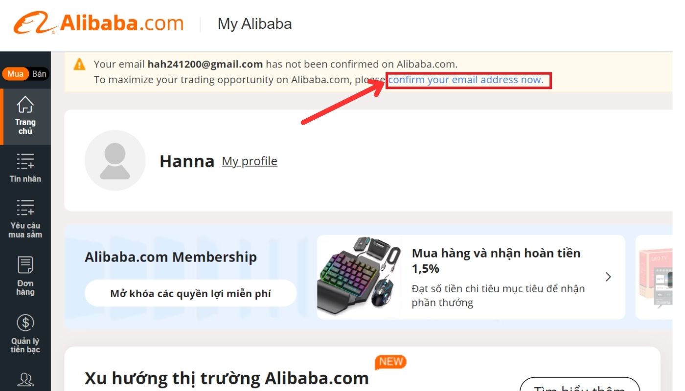 Nhấn chọn “confirm your email address now” trên giao diện My Alibab